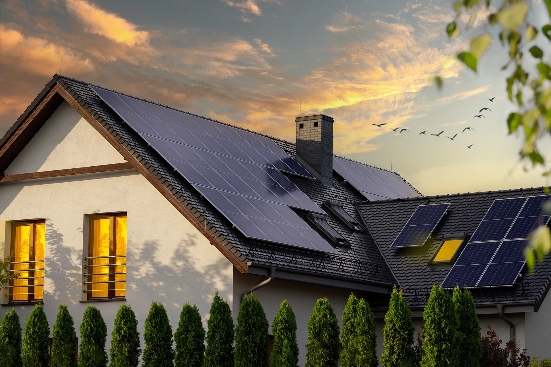 Solar panels on top of a roof with birds flying over